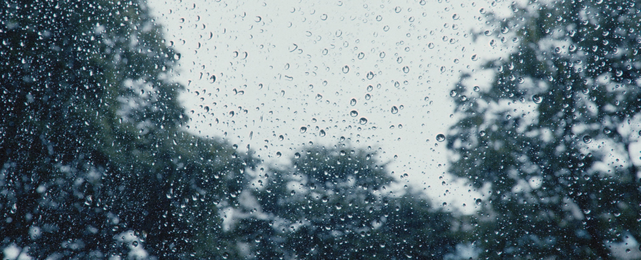 彼女の時間、彼らの時間 「青梅雨のバガテル」